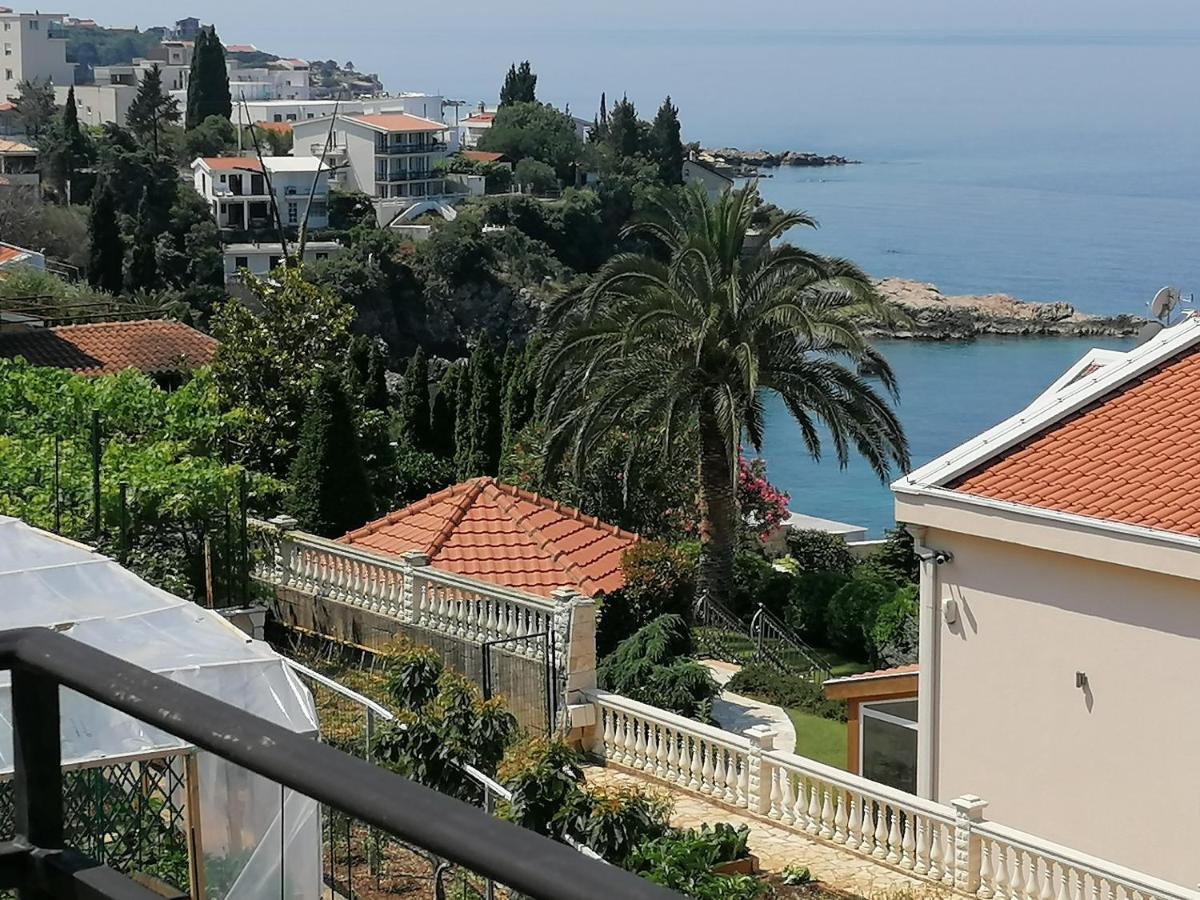 Apartman Marinkovic 多布拉沃达 外观 照片