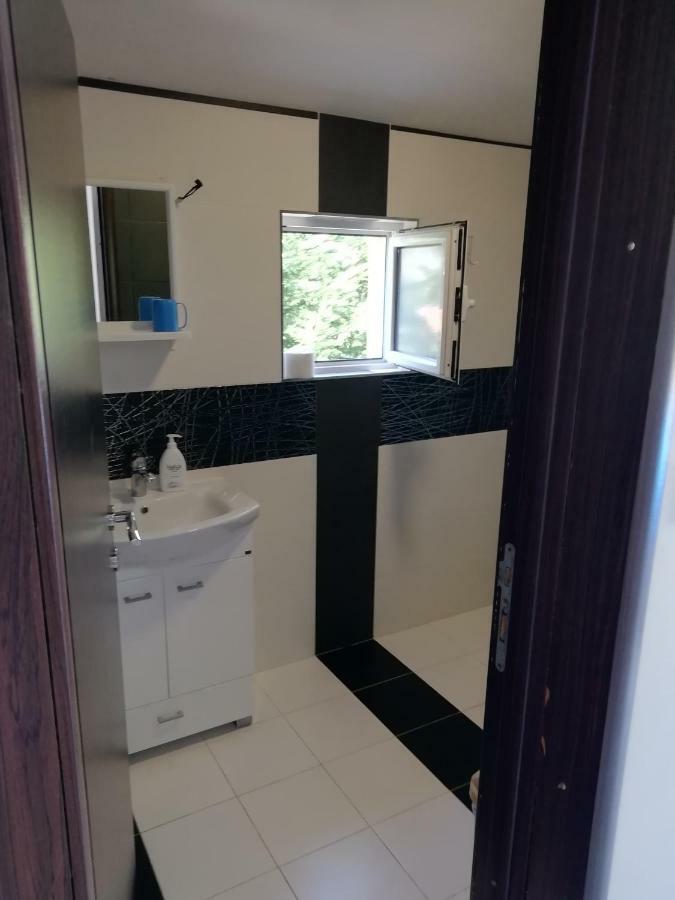 Apartman Marinkovic 多布拉沃达 外观 照片